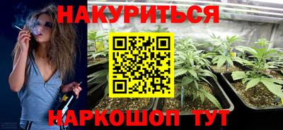 трава Бийск
