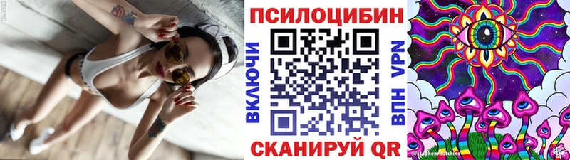 даркнет какой сайт  Вятские Поляны  Псилоцибиновые грибы Magic Shrooms 