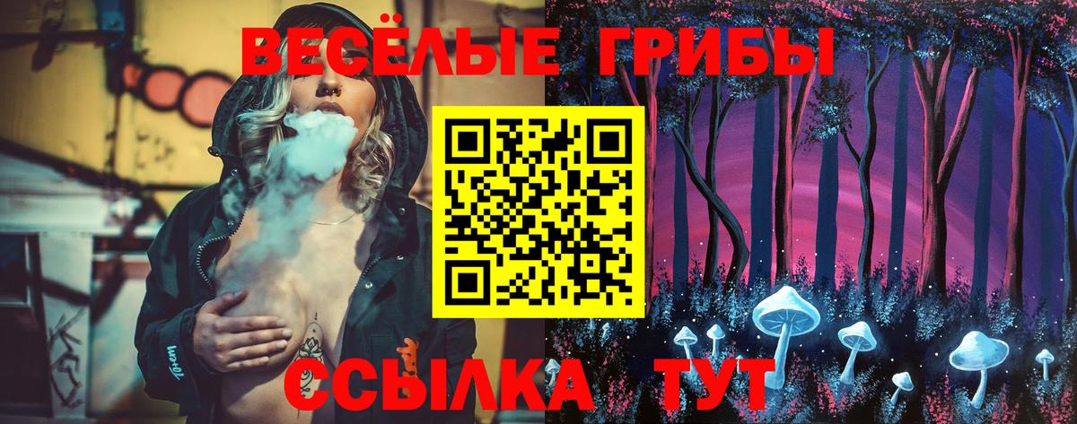 Псилоцибиновые грибы Magic Shrooms  Галлюциногенные грибы Psilocybe  закладка  Вятские Поляны 