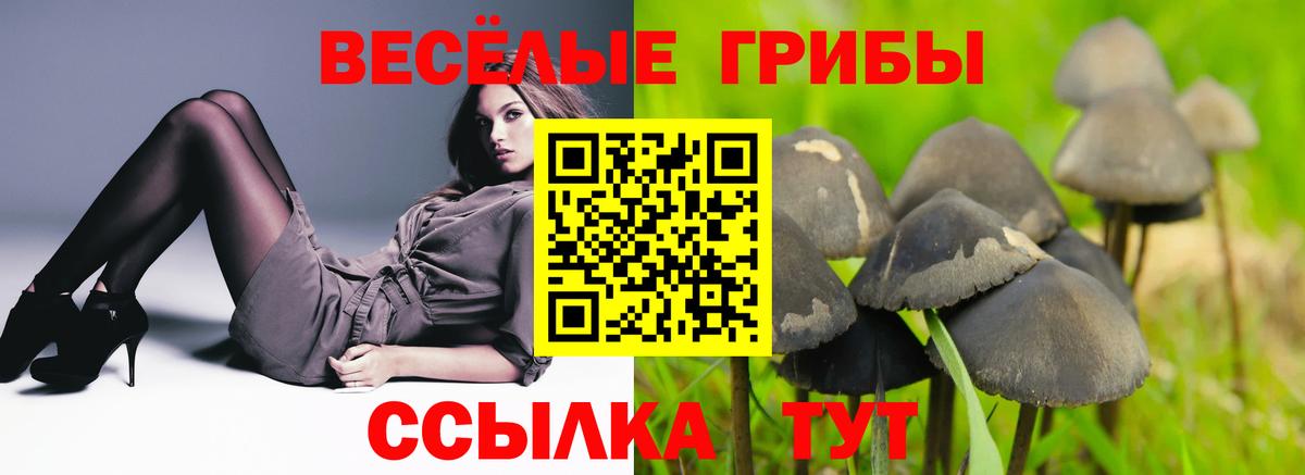 Вятские Поляны  Галлюциногенные грибы мицелий  Вход с VPN  наркота  Псилоцибиновые грибы мухоморы 
